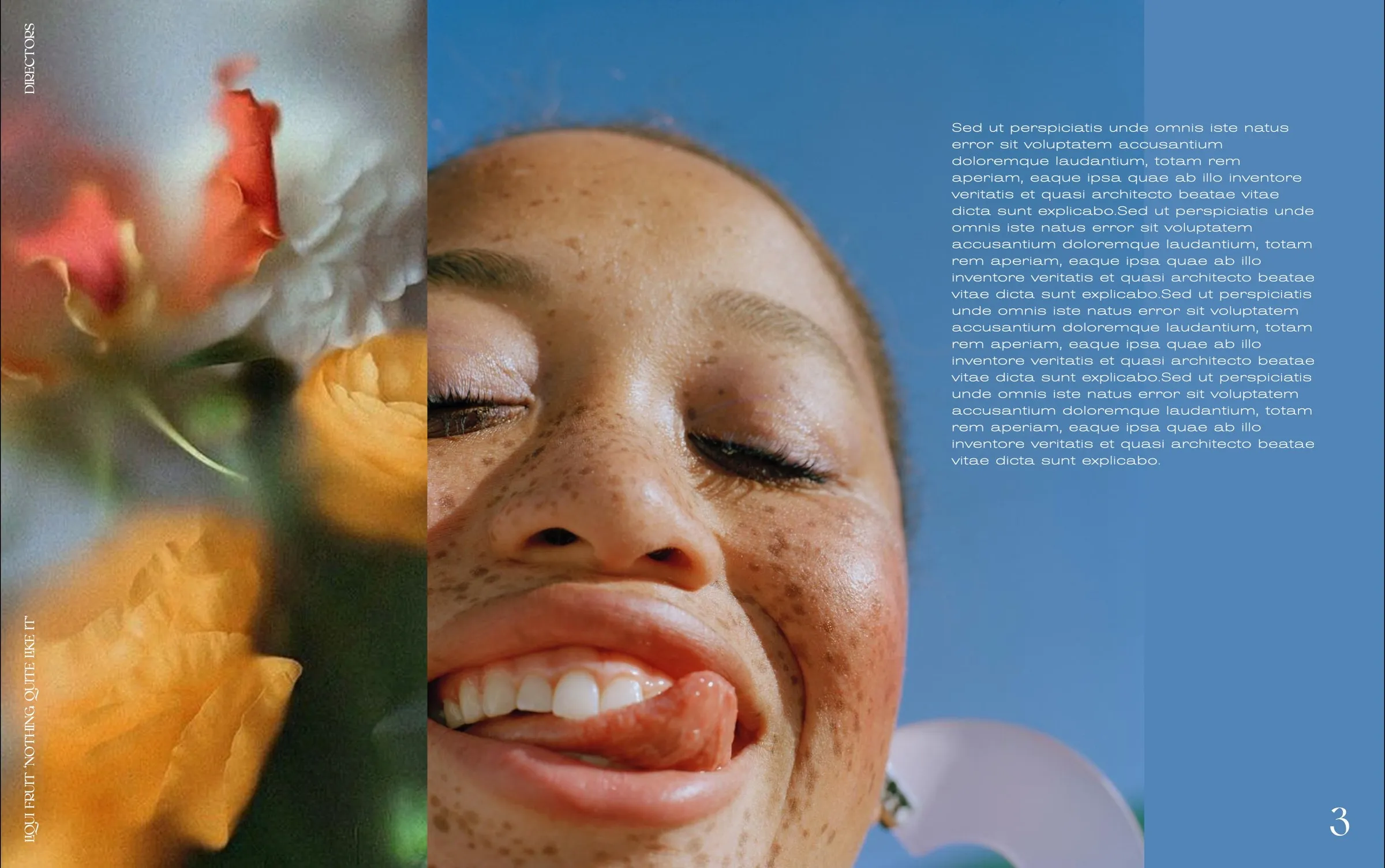 Liquifruit Beverage, page 3