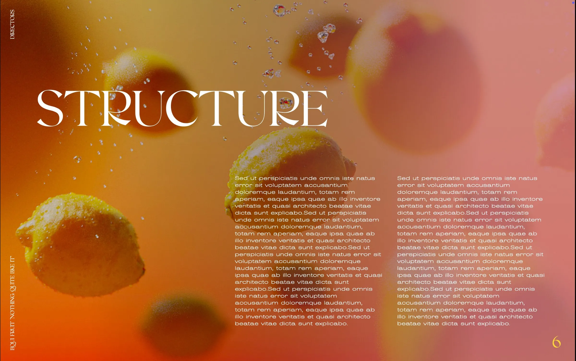 Liquifruit Beverage, page 6