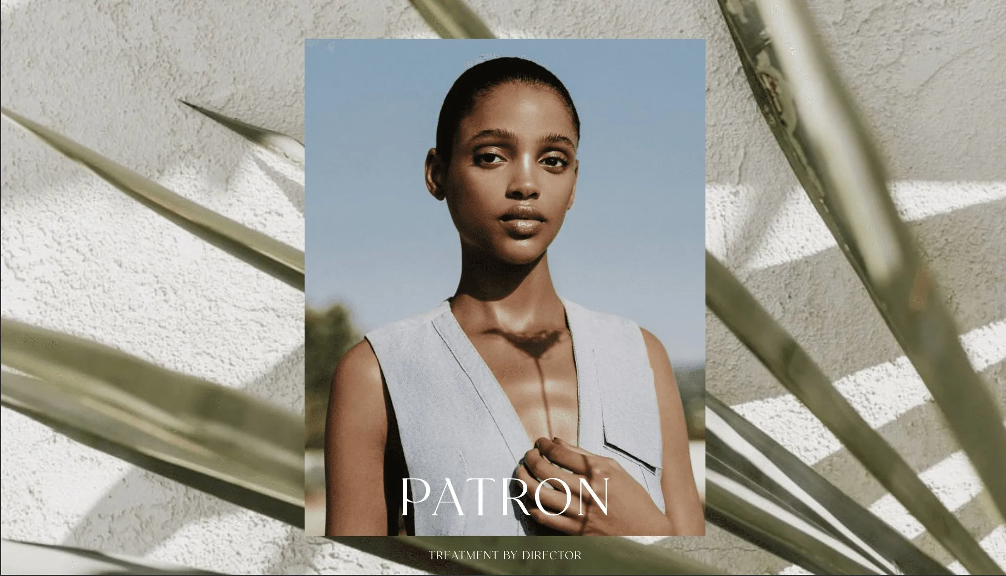 Patron